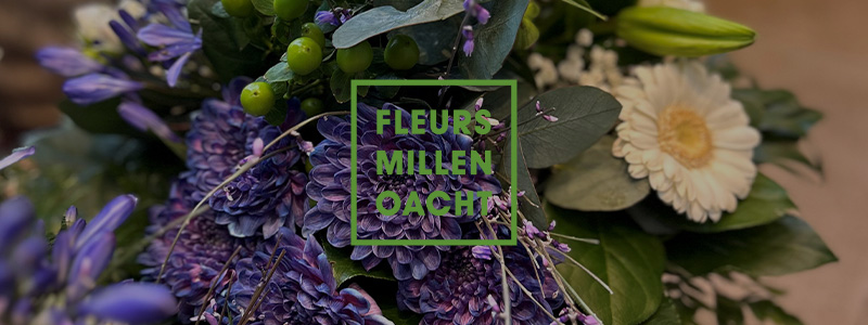 Fleurs Millenoacht